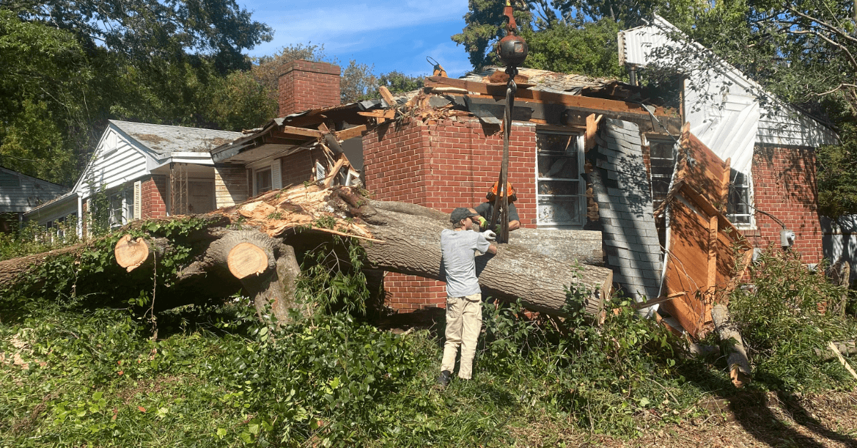 24 7 Emergency Tree Service