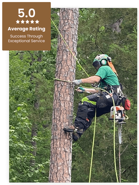 Commercial Tree Service