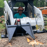 Affordable Tree Service