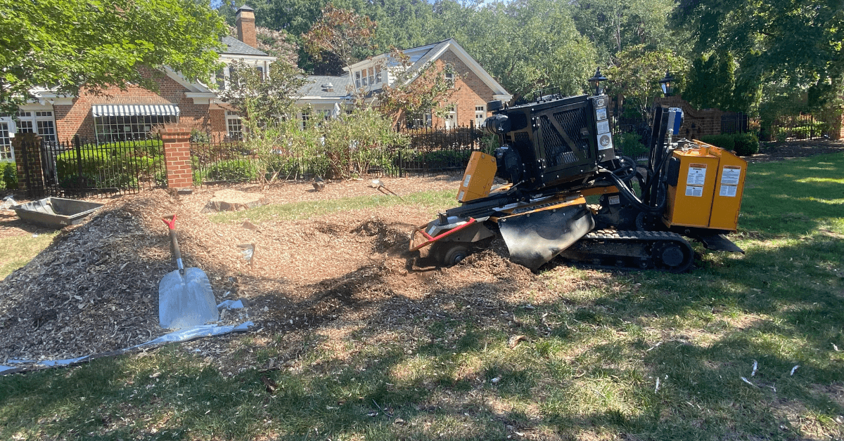 Stump Grinding Removal