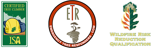 Tree Service Badges