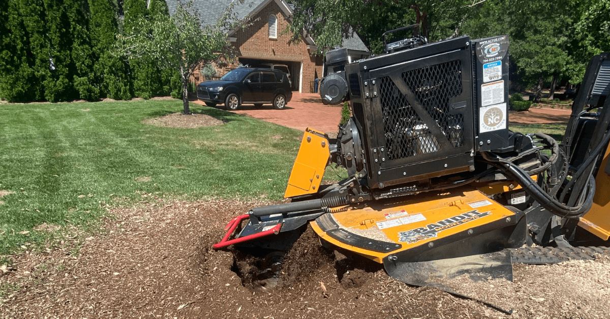 land after stump grinding