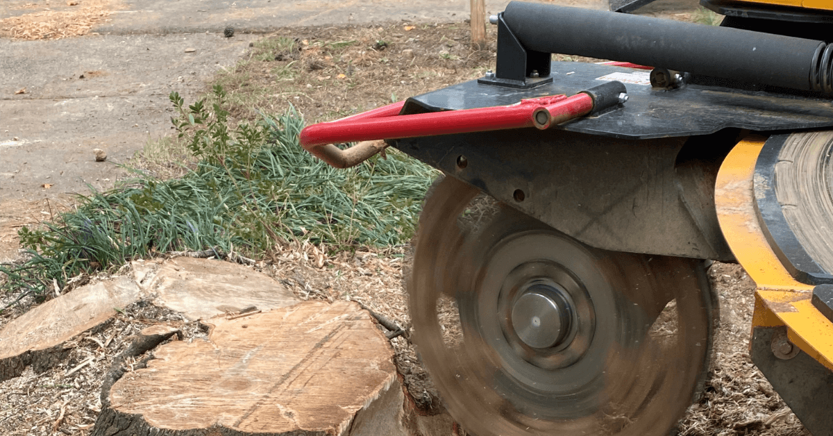 stump grinding
