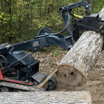 tree service near me