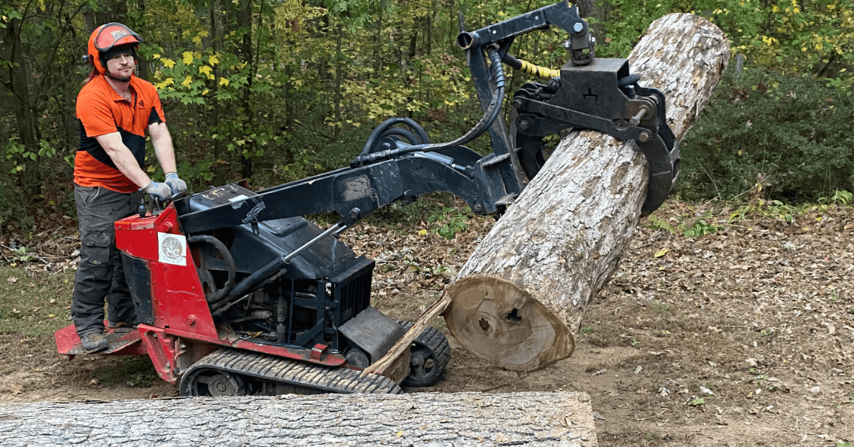 tree service near me