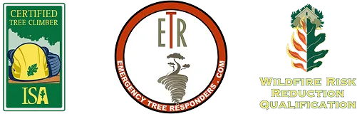 Tree Service Badges
