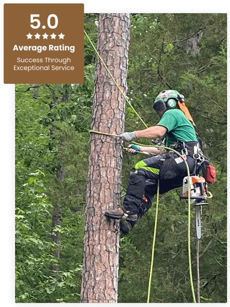 Commercial Tree Service