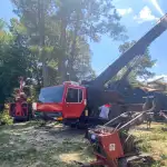 Tree Service Company