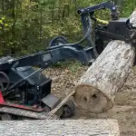 tree service near me
