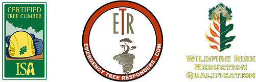 Tree Service Badges